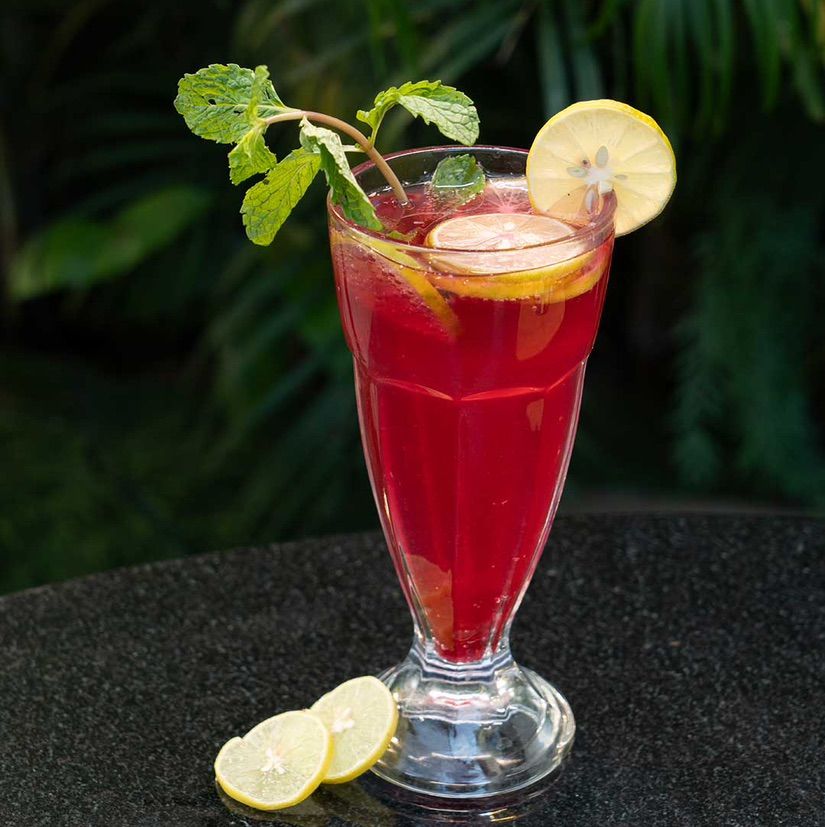 Watermelon Mojito