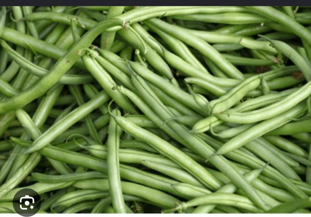 Beans