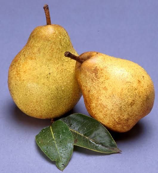 Pear