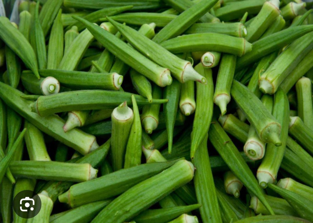 Lady finger ,(bindi)