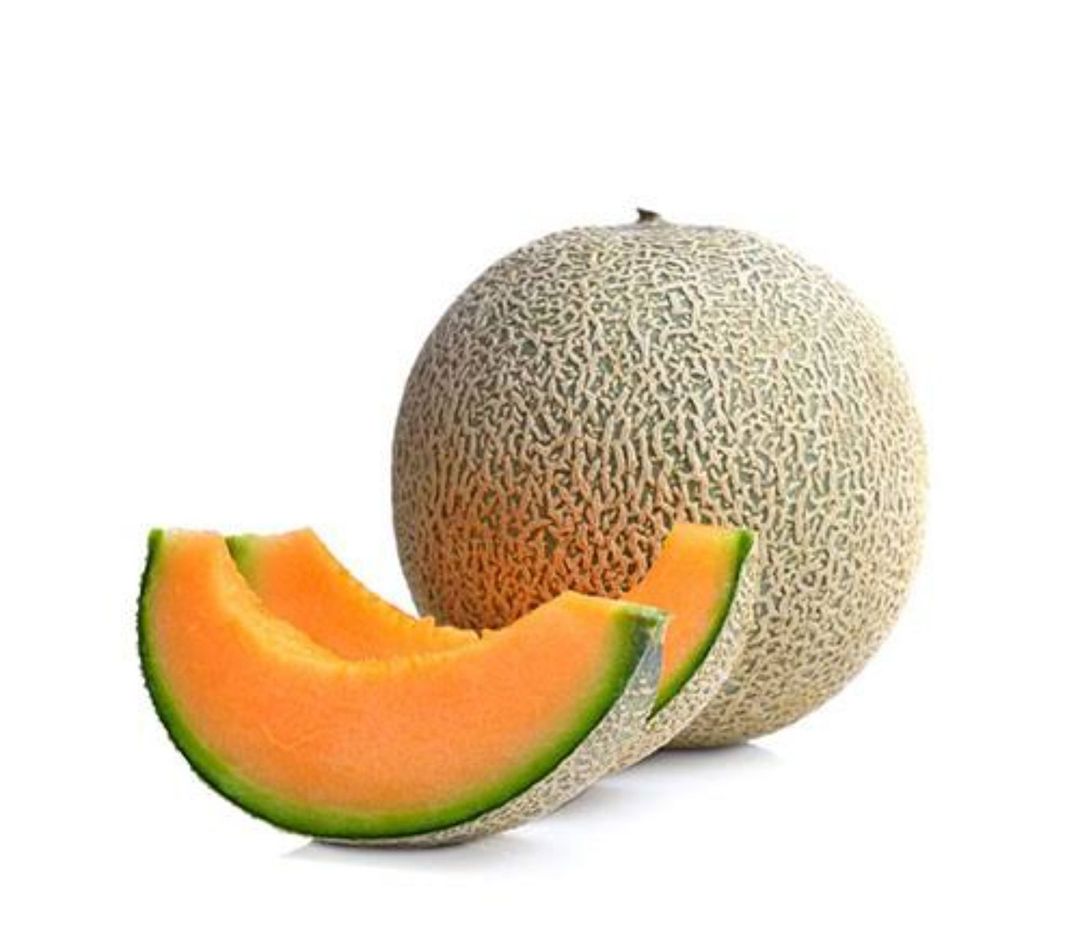 Muskmelon (Kharbuza)