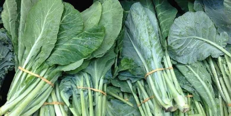 Collard