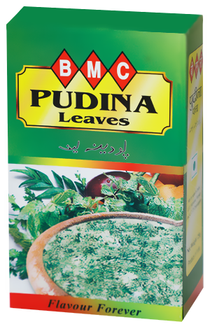 BMC Pudina (Mint), Pack of 25g