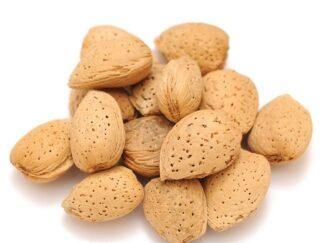 Badam (Almonds)