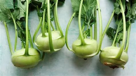 Kohlrabi