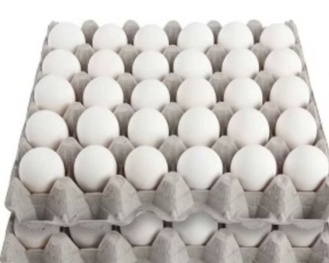 Egg tray (Pack of 30 eggs)
