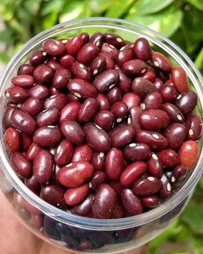 Rajma Daal
