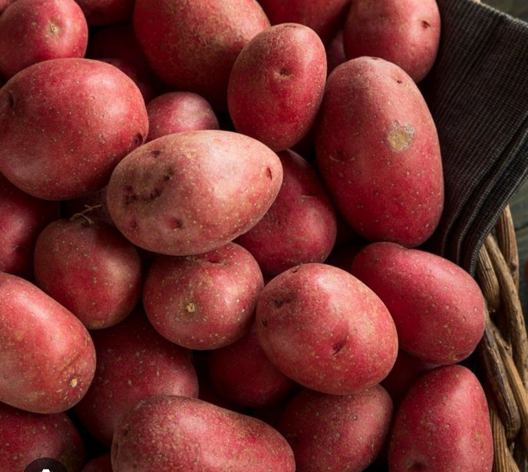 Red potato
