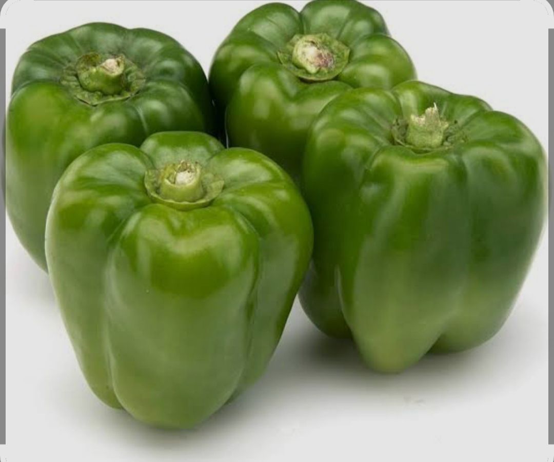 Capsicum