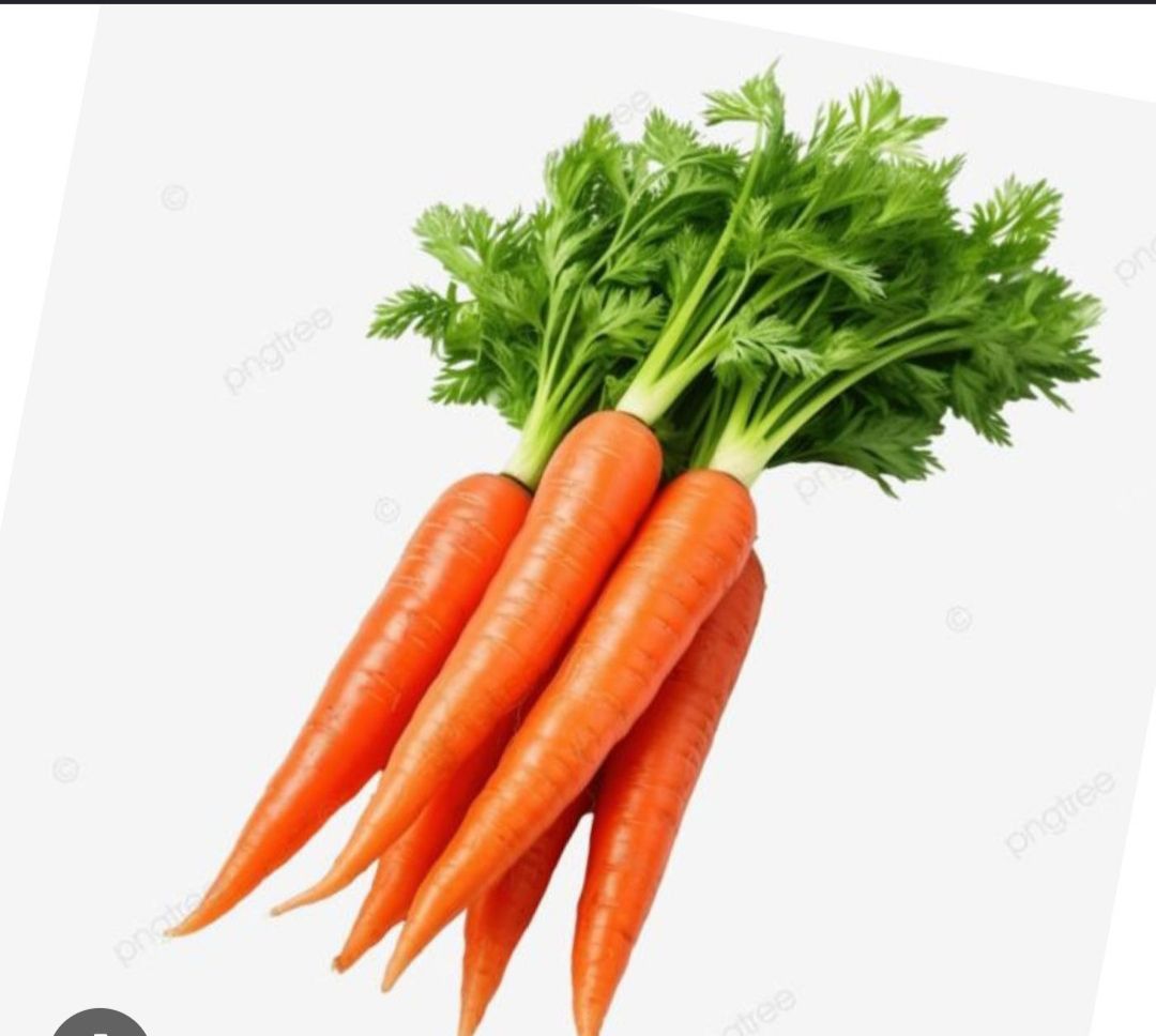 Carrot