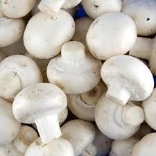 Mashroom