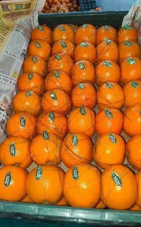 Orange kinno