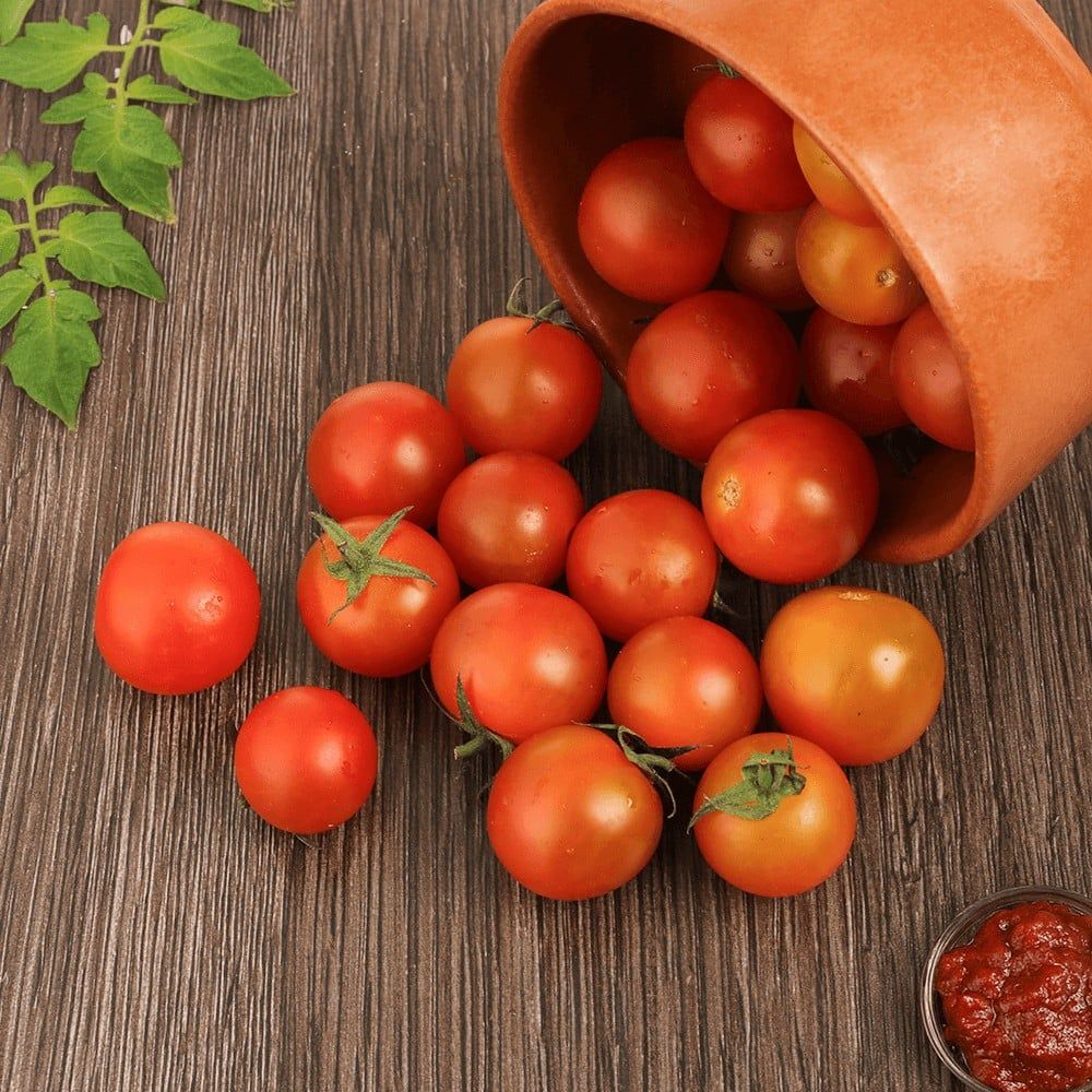 Tomatoes
