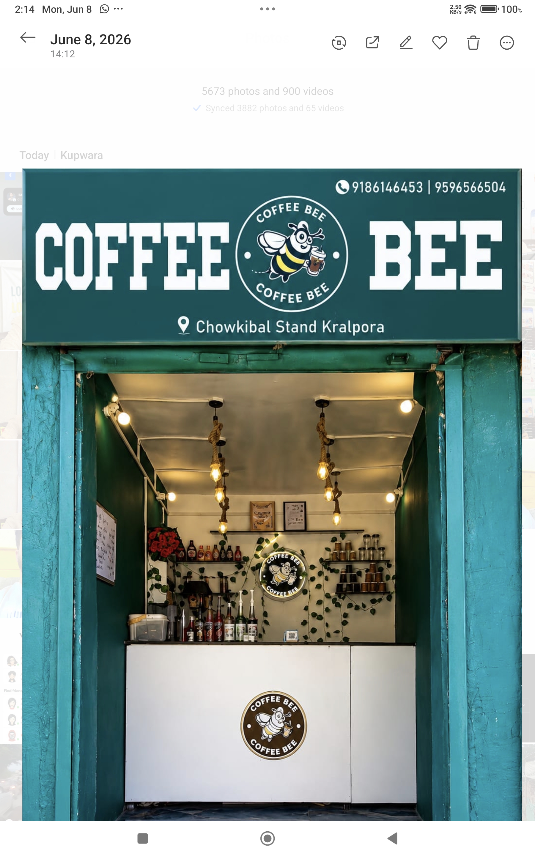 Coffee Bee